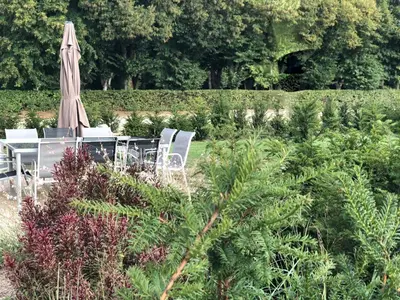 Jardin de l'établissement maison d'hôtes de l'orangerie 14 personnes