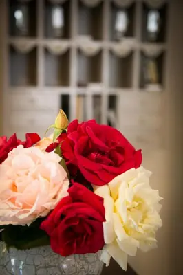 Plan de l'établissement Logis Hôtel Auberge de la Rose