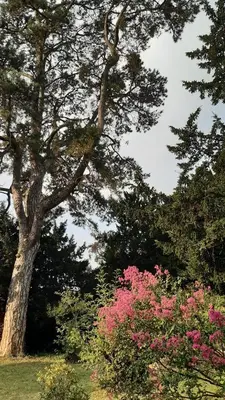 Jardin de l'établissement La Héraudière Bed & Breakfast