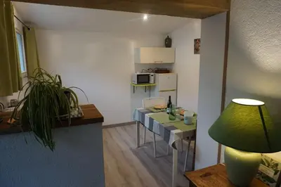 Cuisine ou kitchenette dans l'établissement Gite 3* pour 2 
