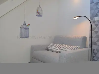Coin salon dans l'établissement Charmante maison Touraine avec jardin clos près d'Amboise - FR-1-381-377