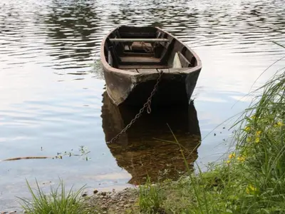 Vue sur la rivière ou le fleuve situé(e) à proximité de la maison de vacances