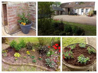 Jardin de l'établissement Gîte charmant à 30 min d'Amboise - FR-1-381-145
