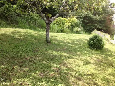 Jardin de l'établissement Au Coeur des Châteaux