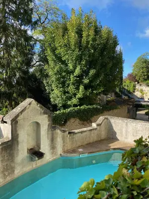 Piscine de l'établissement Château de Nazelles Amboise ou située à proximité