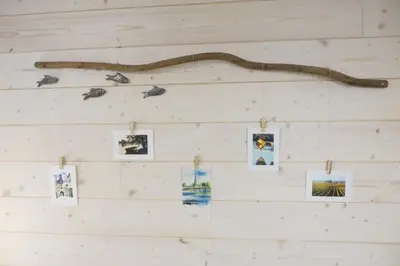 Plan de l'établissement Maisonnette indépendante