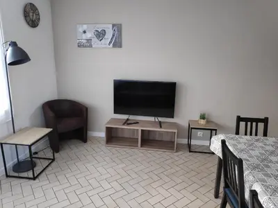 Télévision ou salle de divertissement dans l'établissement Le petit Husseau