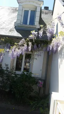 Jardin de l'établissement Landreau