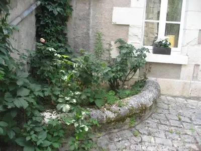 Jardin de l'établissement La Chevalerie