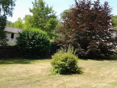 Jardin de l'établissement Maison 18e siècle à Azay-le-Rideau, jardin, wifi, proche nature - FR-1-381-20