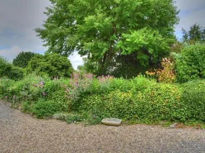 Jardin de l'établissement Charmant gîte à Montrésor avec jardin et équipement bébé - FR-1-381-72
