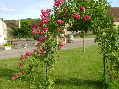 Jardin de l'établissement Gîte en Touraine: Campagne, 3 Chambres, Près de Chenonceau - FR-1-381-121