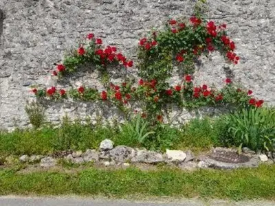 Jardin de l'établissement Gîte en Touraine: Campagne, 3 Chambres, Près de Chenonceau - FR-1-381-121
