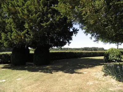 Jardin de l'établissement Fermette XIXe rénovée, proche zoo Beauval, animaux admis, jardin 1700m² - FR-1-381-322