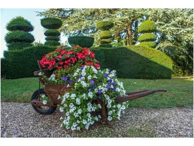 Jardin de l'établissement Maison de caractère avec jardin, climatisation et vélos près d'Amboise - FR-1-381-357