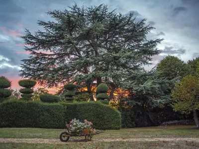 Jardin de l'établissement Maison de caractère avec jardin, climatisation et vélos près d'Amboise - FR-1-381-357
