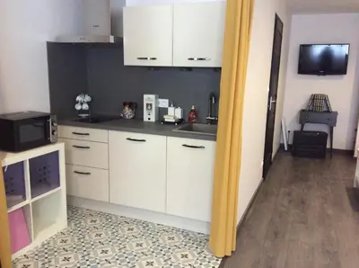 Cuisine ou kitchenette dans l'établissement Villa du jardin des plantes 56 Rue Prémartine