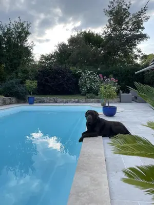 Piscine de l'établissement Villa Cassandre ou située à proximité