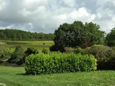 Paysage naturel près de la maison de vacances