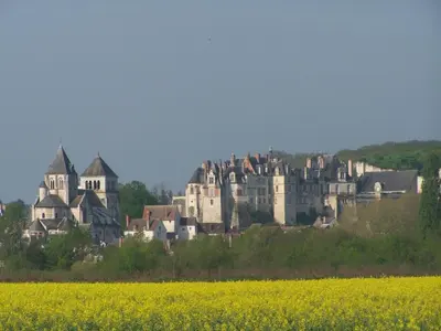 Plan de l'établissement La Tribu de Beauval 6ch grand terrain et parking privé