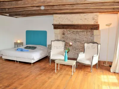 Coin salon dans l'établissement Élégante Demeure 17e avec Spa, Sauna et Authentique Cheminée, proche Châteaux de la Loire - FR-1-381-348