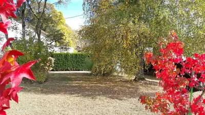 Jardin de l'établissement Les Amandines