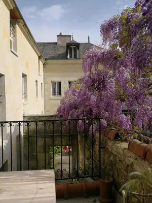 Jardin de l'établissement La Vie Voyage