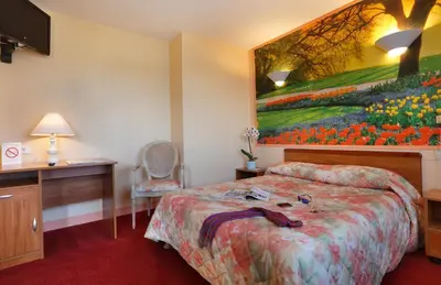 Télévision ou salle de divertissement dans l'établissement Contact Hôtel de France Contres-Beauval-Cheverny