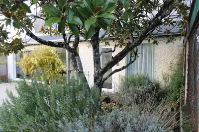 Jardin de l'établissement Gîte Natur'Amis