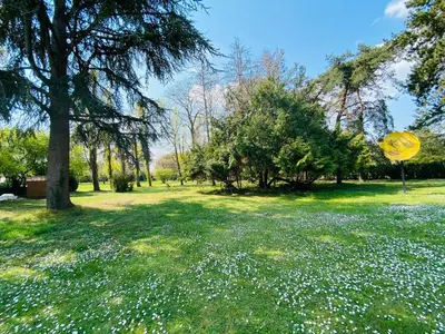 Jardin de l'établissement Maison des Arts Francueil