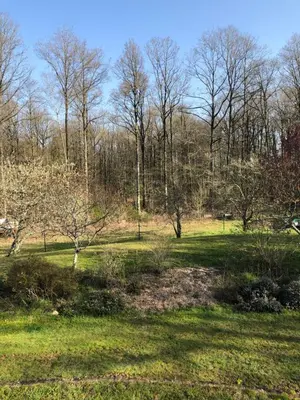 Jardin de l'établissement Chambres d'hôtes Domaine De La Jonquière, Bouloire