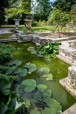 Jardin de l'établissement Chambres d'Hôtes Manoir de Montecler