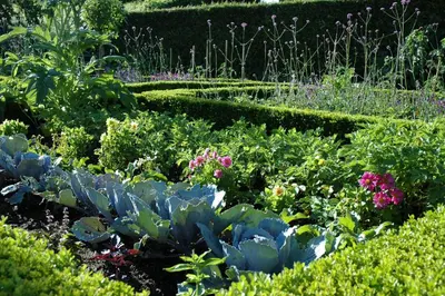 Jardin de l'établissement Le Chat Courant