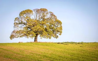 Paysage naturel près de la maison de vacances