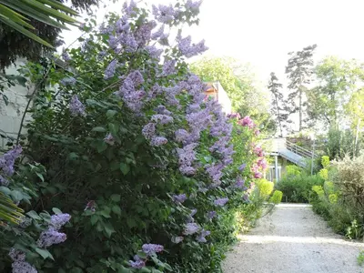 Jardin de l'établissement La Gourmandine