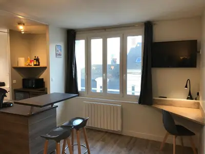 Cuisine ou kitchenette dans l'établissement Studio cozy hypercentre