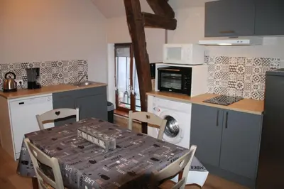 Cuisine ou kitchenette dans l'établissement appartement Le Rive Gauche