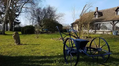Jardin de l'établissement Le Vitard