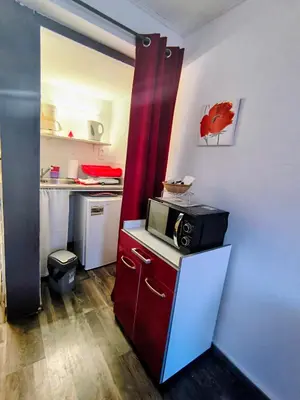 Cuisine ou kitchenette dans l'établissement Studio Les coquelicots