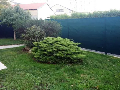 Jardin de l'établissement Les Agapanthes site de La Riche