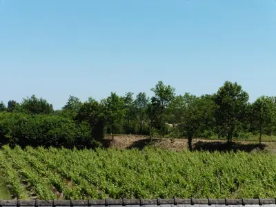 Plan de l'établissement Gîte Chemin des Prés r de Pré Vert