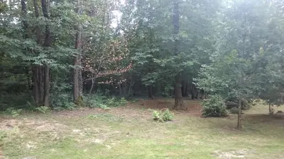Jardin de l'établissement Chambres de Monthéard