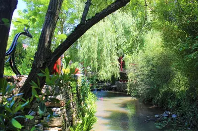 Jardin de l'établissement Chambres d'hôtes de la Forge