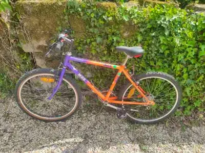 Vélo sur le terrain de l'établissement Maison accueillante à Bléré avec cheminée et terrasse ou dans les environs