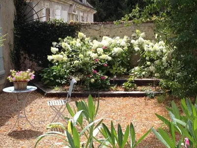 Jardin de l'établissement La Maison Céladon