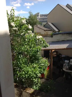 Jardin de l'établissement Chambre chez l'habitant au centre ville