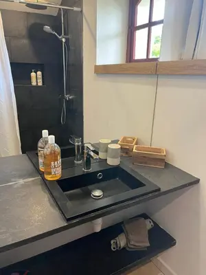 Plan de l'établissement Proche Beauval appartement 60m2 avec mezzanine et petite terrasse