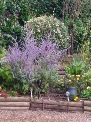 Jardin de l'établissement Le Jardin De Josseline