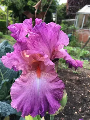 Jardin de l'établissement Clos Mariotte