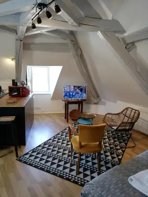 Coin salon dans l'établissement Appartement Henri II